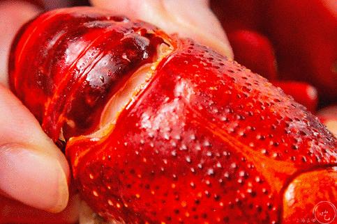 红盔甲羊蝎子火锅,红盔甲羊蝎子火锅天钥桥路