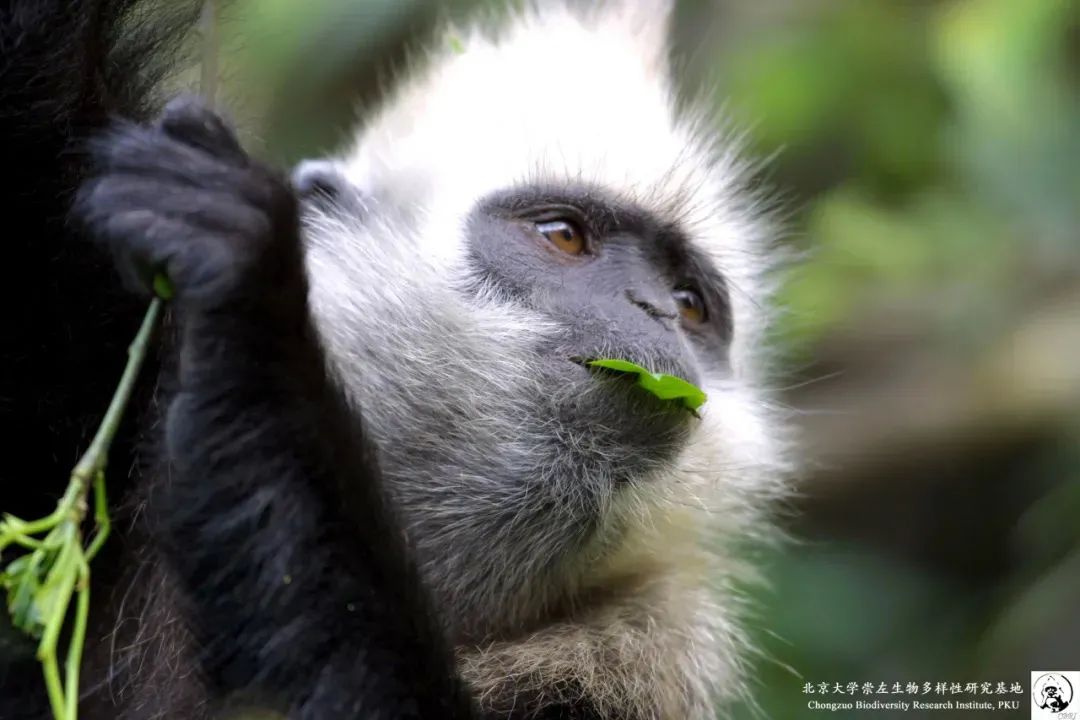 上车旅游打卡,上车打卡下车打卡