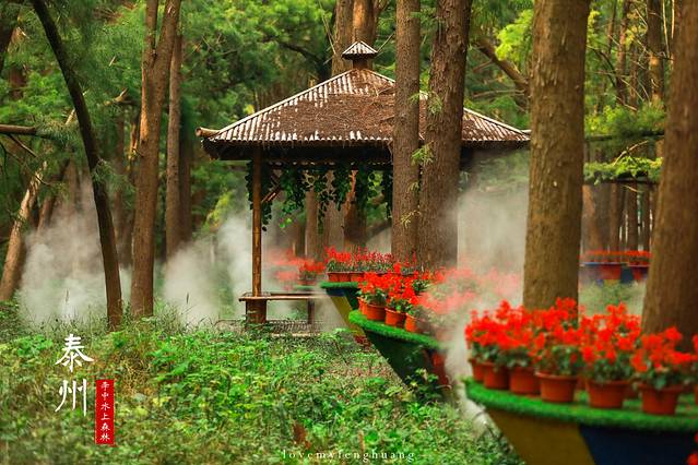 泰州水城有什么好玩,水城泰州