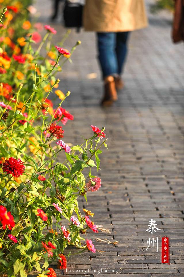 泰州水城有什么好玩,水城泰州