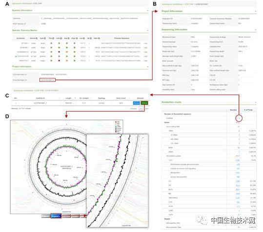 基因组深度测序研究方案 (微生物基因测序技术发展)