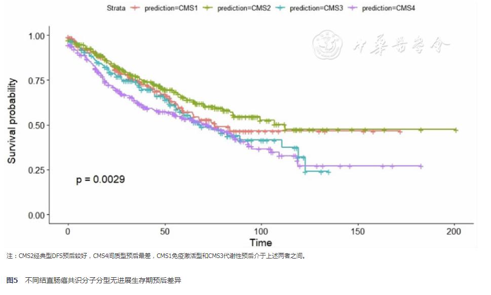 转移性结直肠癌基因分型,结直肠癌病理组织学分级