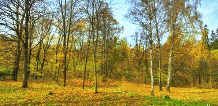 澳大利亚适合儿童眼睛的东西推荐,澳洲保护孩子眼睛的保健品