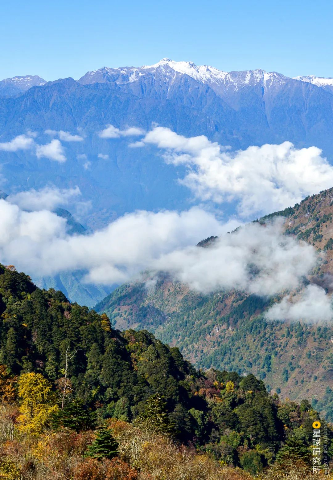 腾冲为什么那么出名,云南的腾冲怎样