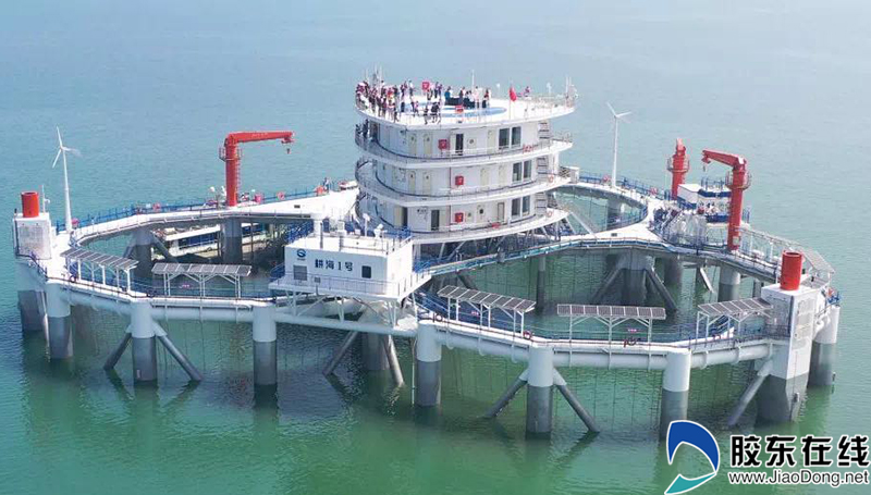 “云”见烟台:蓝色后浪奔涌海洋产业“参参”不息