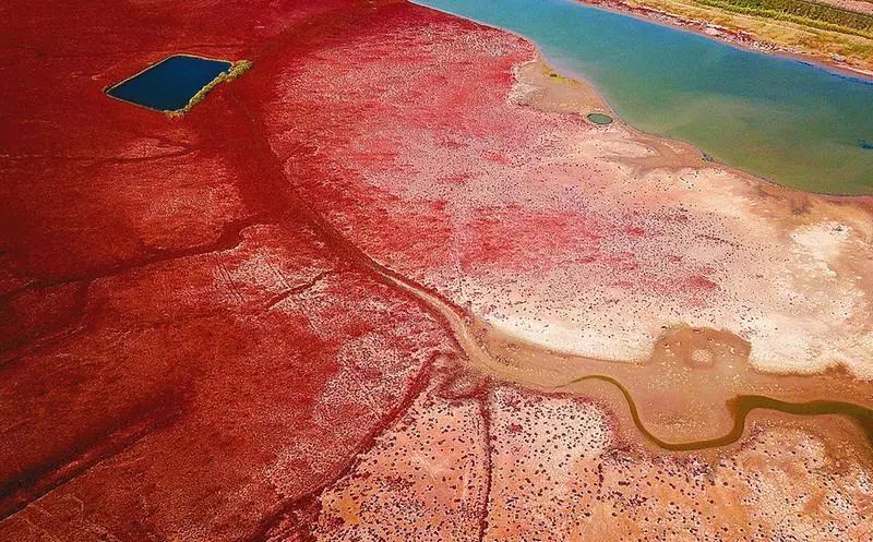 盐城发色,盐城代表颜色