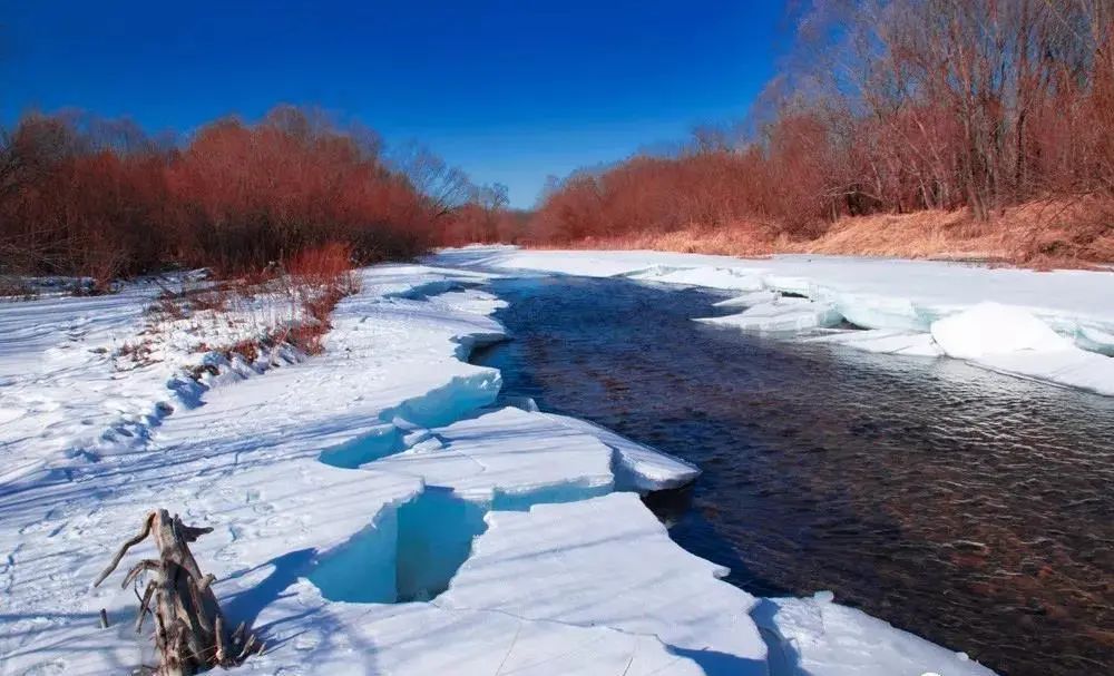 加格达奇映山红滑雪场今年开的吗,黑龙江加格达奇市映山红滑雪场