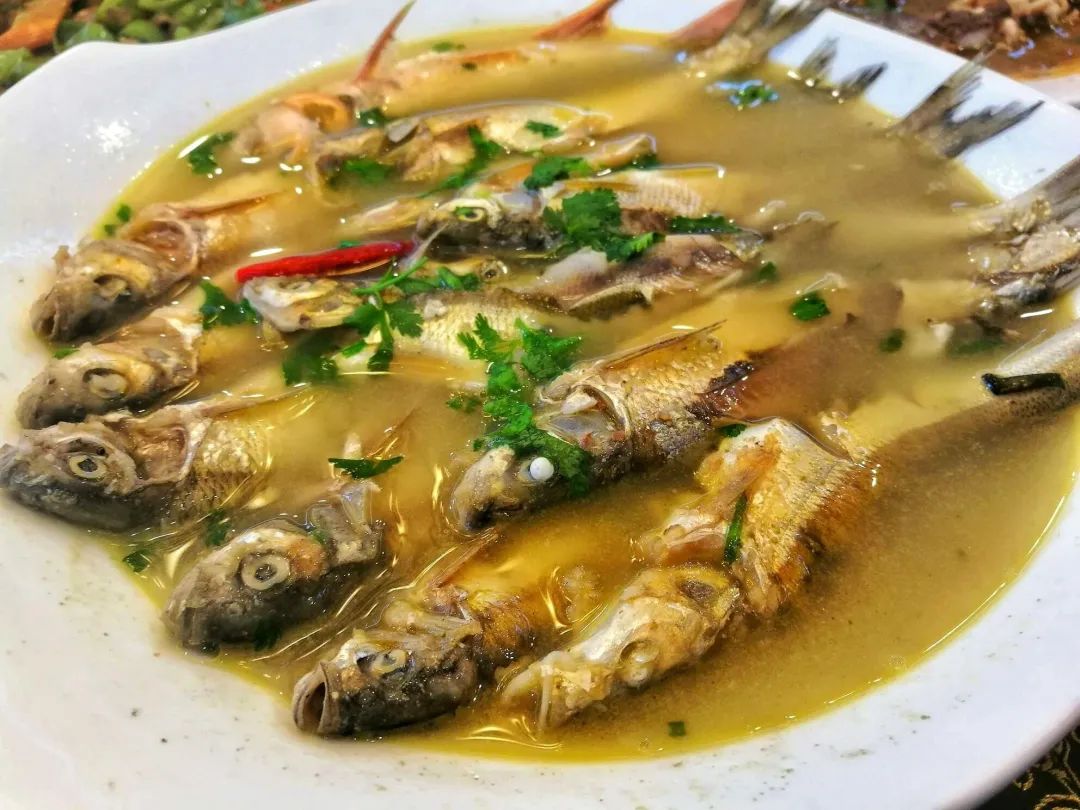 加格达奇映山红滑雪场今年开的吗,黑龙江加格达奇市映山红滑雪场