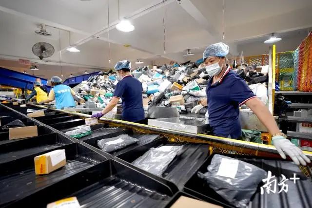 双十一堆成山的快递如何派件？东莞快递人这样做！