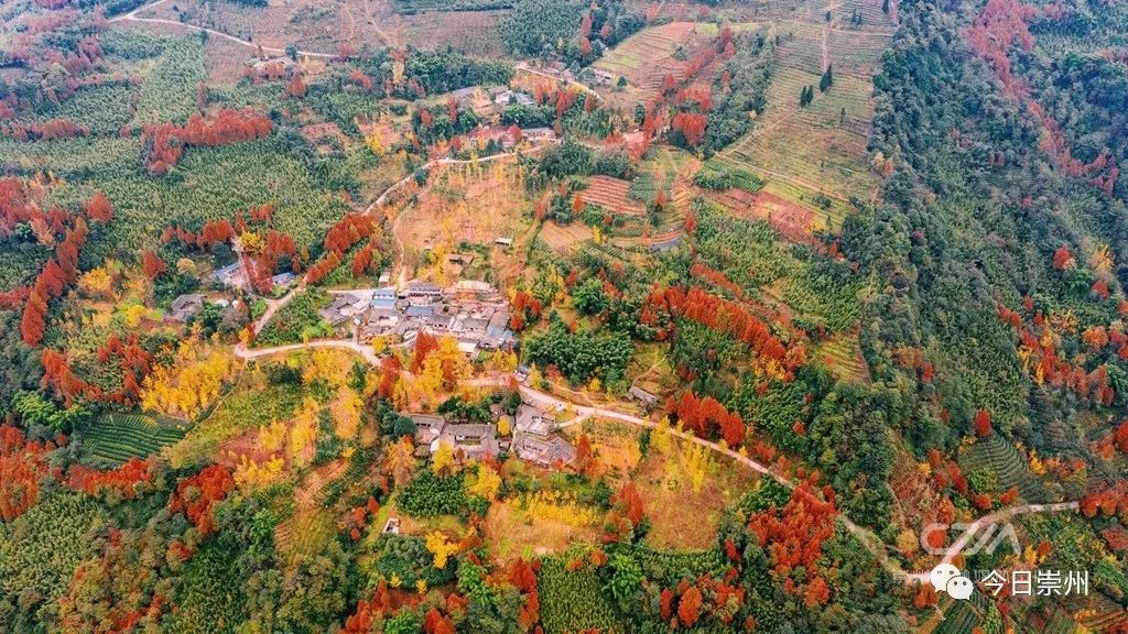 初秋彩林成都周边秘境,成都附近彩林秘境