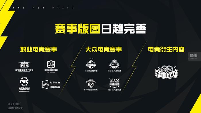 2020和平精英国际冠军杯,2020年和平精英国际冠军杯演唱会