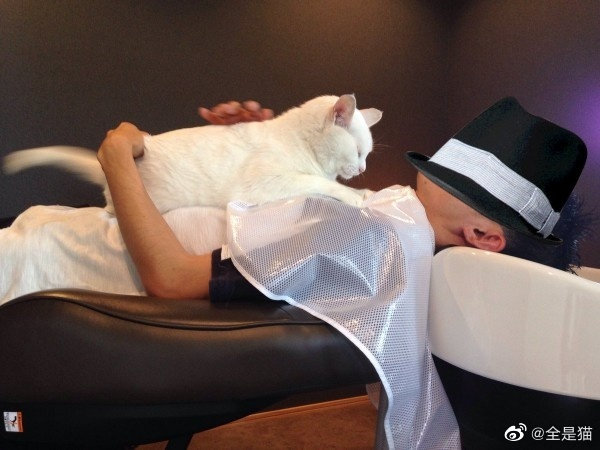 刘昊然在保温杯上班,刘昊然带保温杯上班