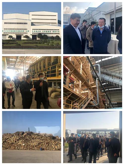 促进绿色发展政府要怎么做,推动绿色发展相关举措有