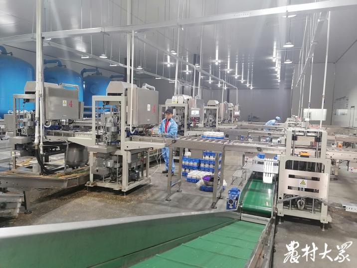 村集体经济发展成效,村集体经济发展现状及发展思路