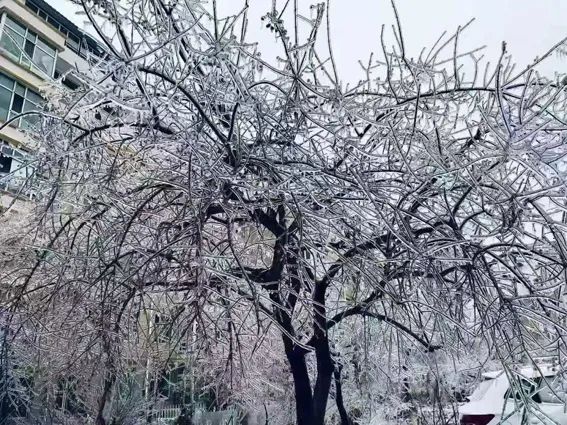 延边开启滑雪季快来嗨翻冬天,雪雪来了