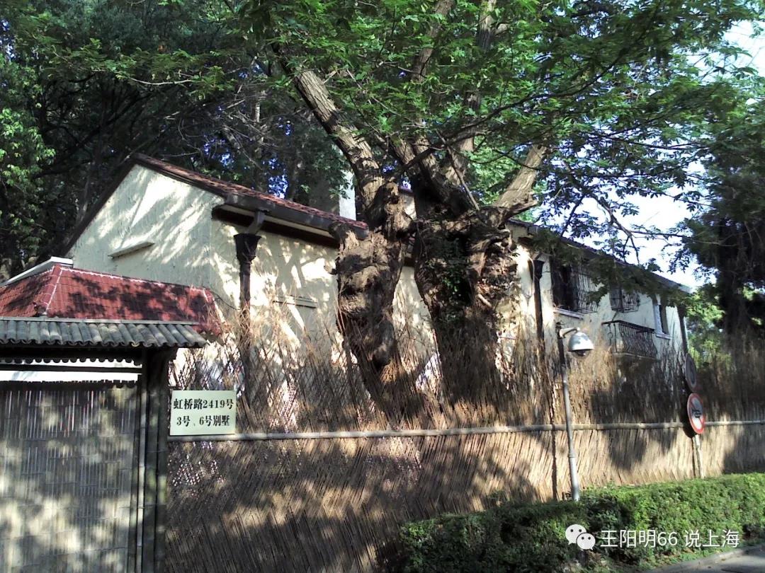 孙科别墅每天开放时间,孙科别墅全景视频