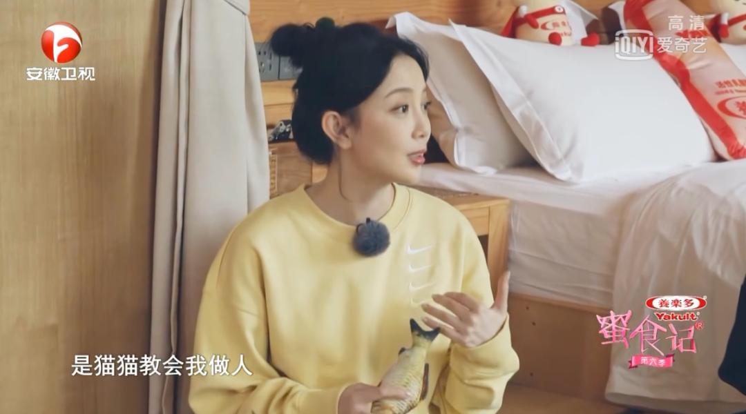 全新升级与回归，《蜜食记6》如何借用美食与友谊诠释爱与真实？