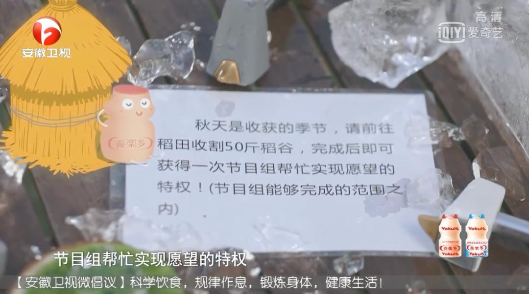 全新升级与回归，《蜜食记6》如何借用美食与友谊诠释爱与真实？