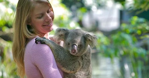 口臭的解决方法胃不好,口臭是不是胃不好了应该怎么调理