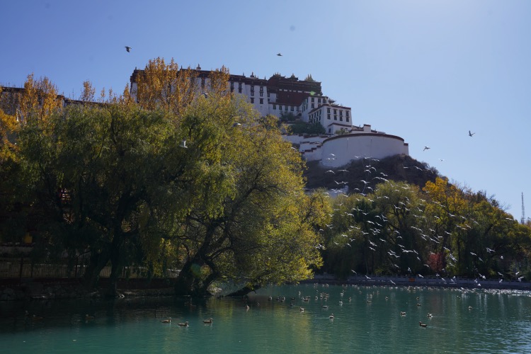 拉萨：丁真最想去的城市冬天是怎样的？