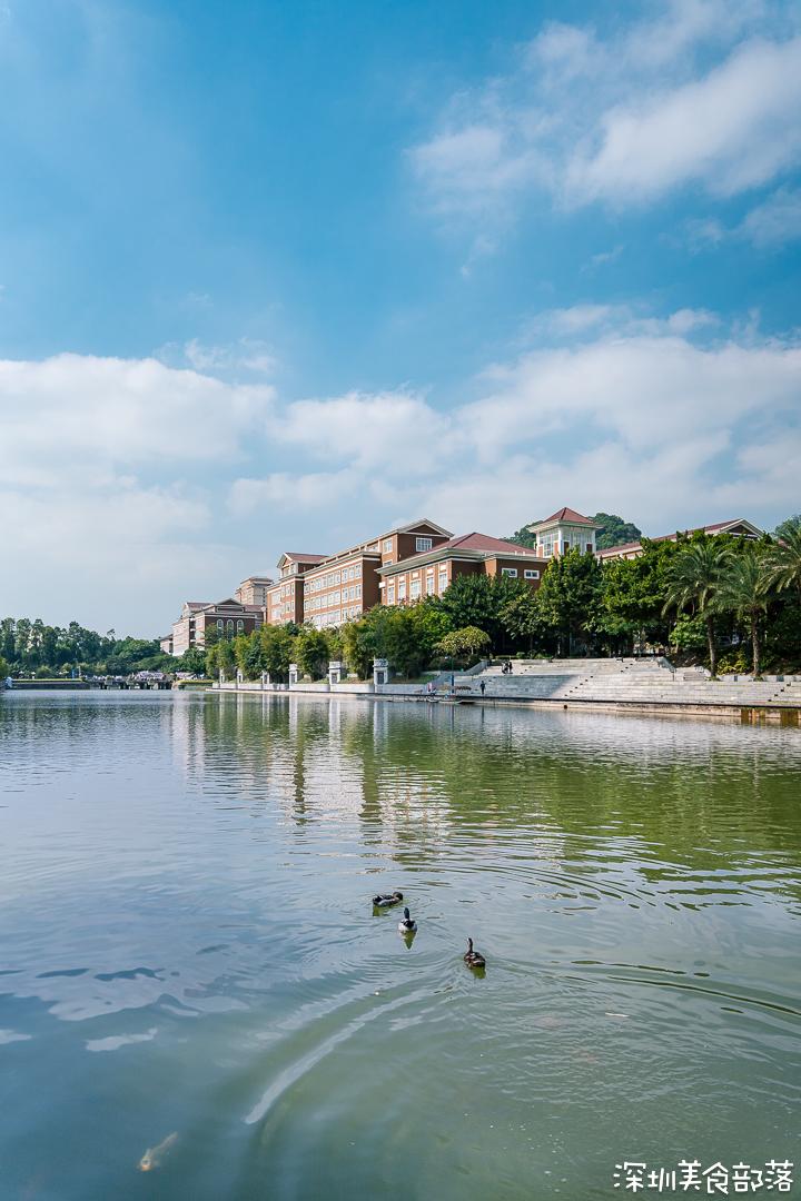 深职院，真的太太太太太好吃了