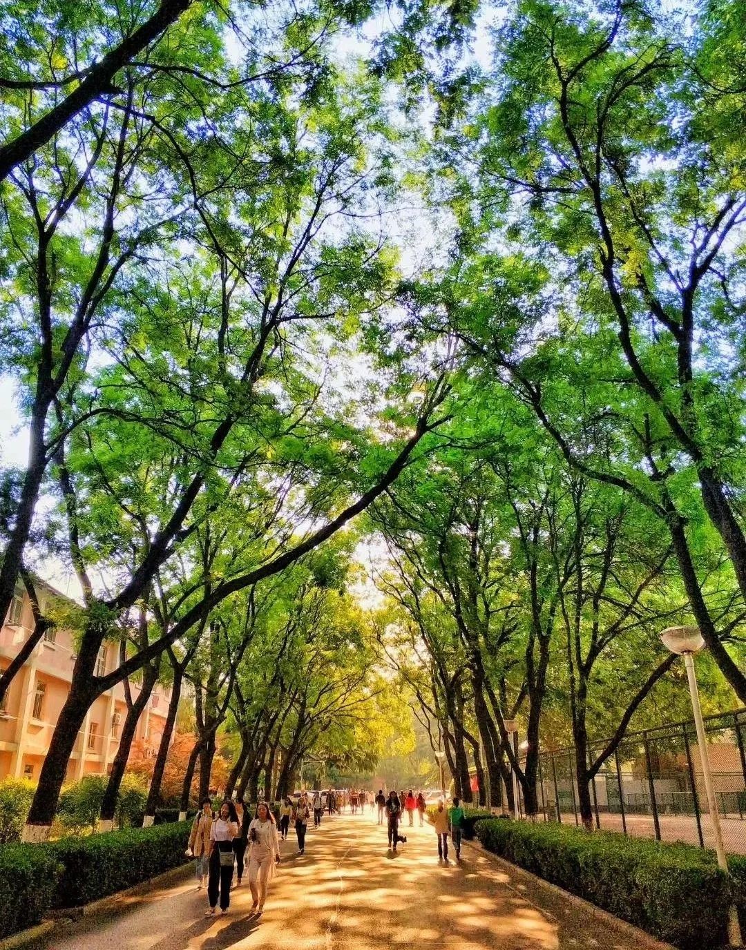 在师大的一天,在师大的生活