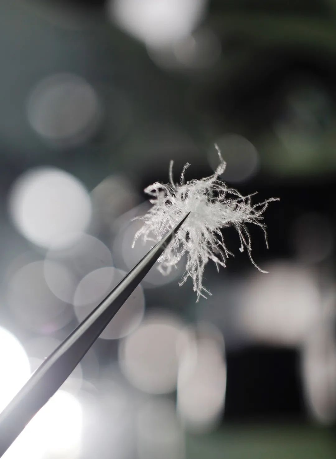 一件羽绒服，治好了我的“身材焦虑”