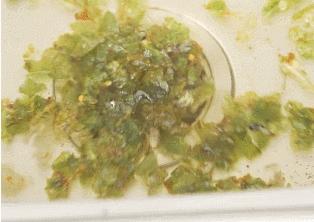 蒸汽管道堵塞疏通器,清污疏通管道