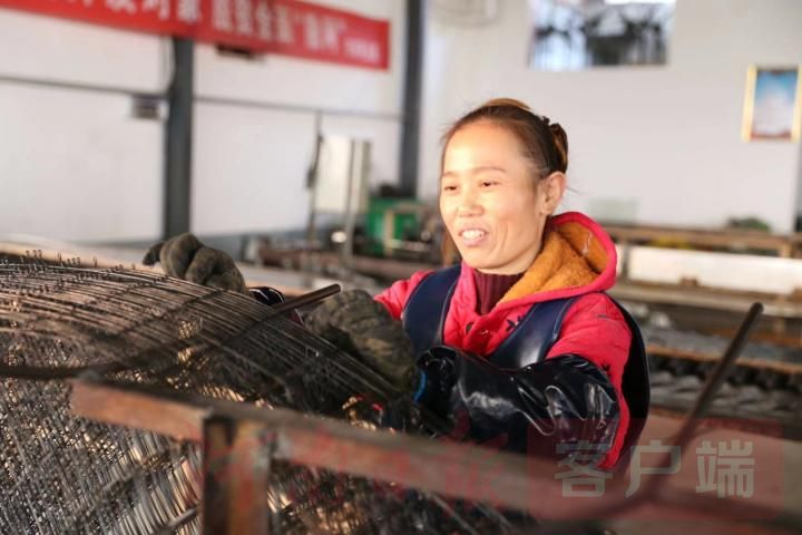 包树网是什么,淮滨包树网是什么