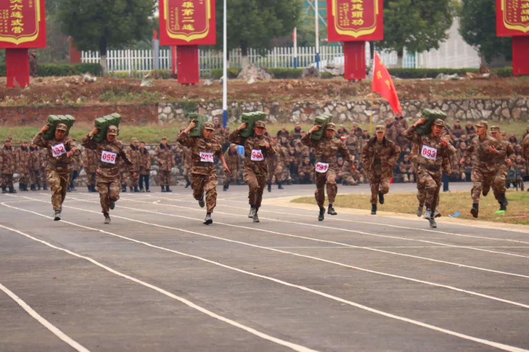 寒风中彼此鼓励,寒风中它们依然是城市的守护者