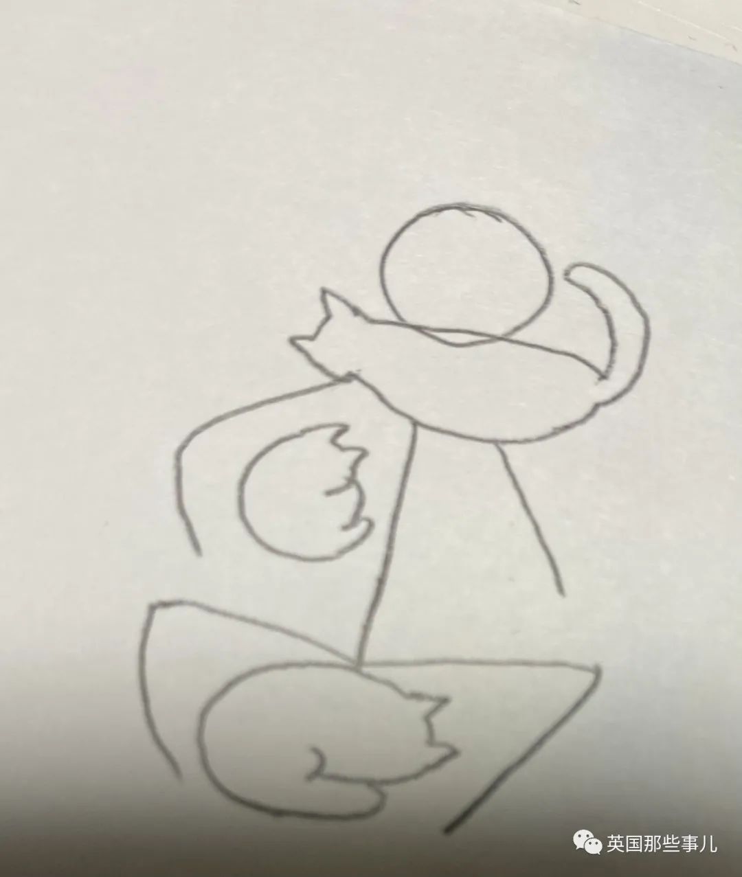 多猫家庭猫咪也会尿闭吗,多猫家庭为什么不能洗澡