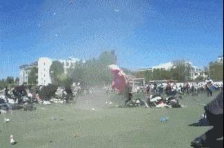 林子大了什么鸟都有下一句是什么,林子大了啥鸟都有讽刺图片