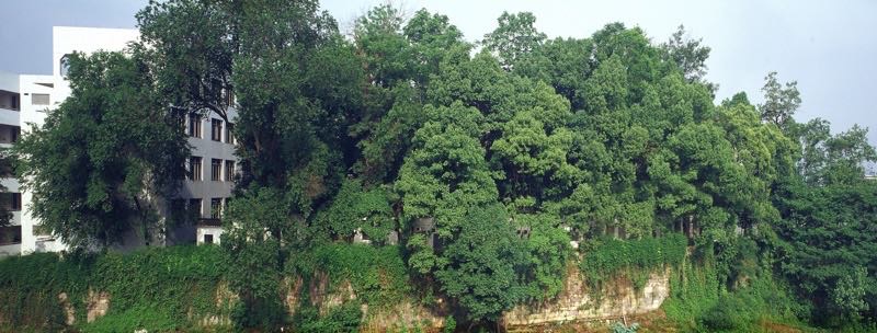 鍗冨勾鏂囪剦鍦ｅ洯,鍙ゅ煄鏂扮櫥