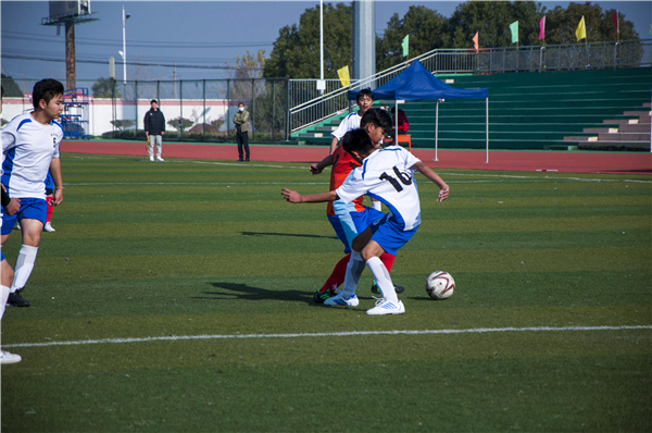 定远双塘中学足球比赛,定远县第六届中学生足球比赛