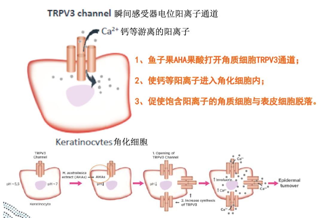 还在用洗面奶让你的脸越洗越白,还在用的洗面奶
