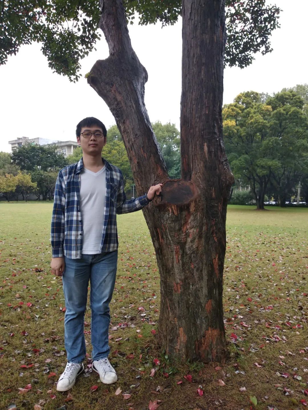 向优秀看齐向榜样靠拢,向优秀的前辈们看齐