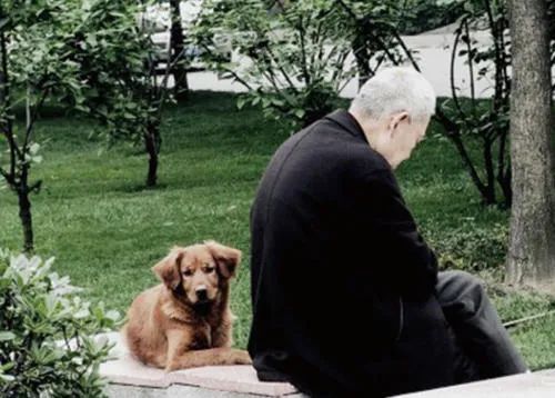 失眠症影响心脏,老年人失眠症的危害