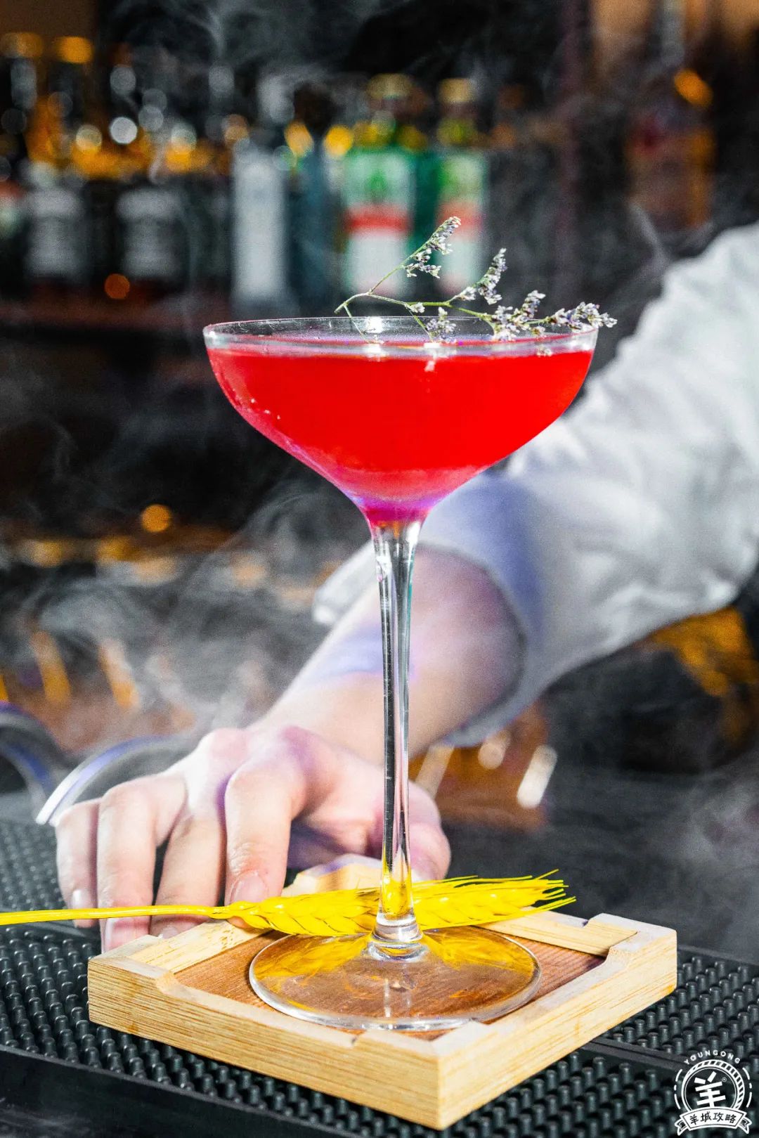 忘掉朋友圈的凡尔赛，来广州狮子猫网红酒吧，开启你的微醺时刻