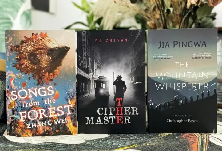 从国外翻译过来的书籍有哪些,关于翻译的外文书籍有哪些