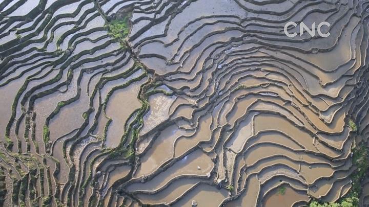 卫星告诉你为什么三明是宝藏城市,三明市卫星