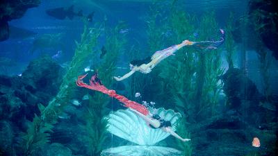 嗨游青岛享悦冬季|美妙的科创海洋之旅，解锁冬日遛娃新玩法！（文末福利）