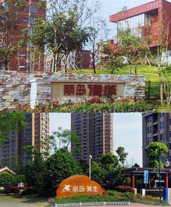 坚守与创变——丽岛二十年创业路