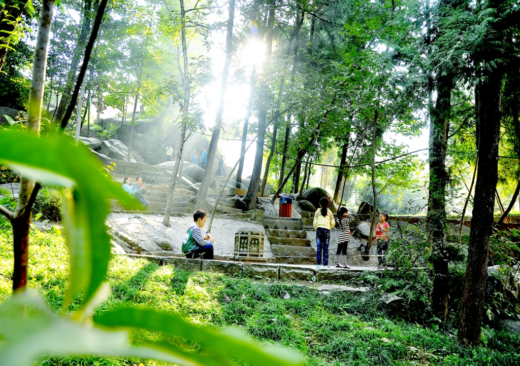 乡村学校特色教育,学校乡村振兴教育提升方案