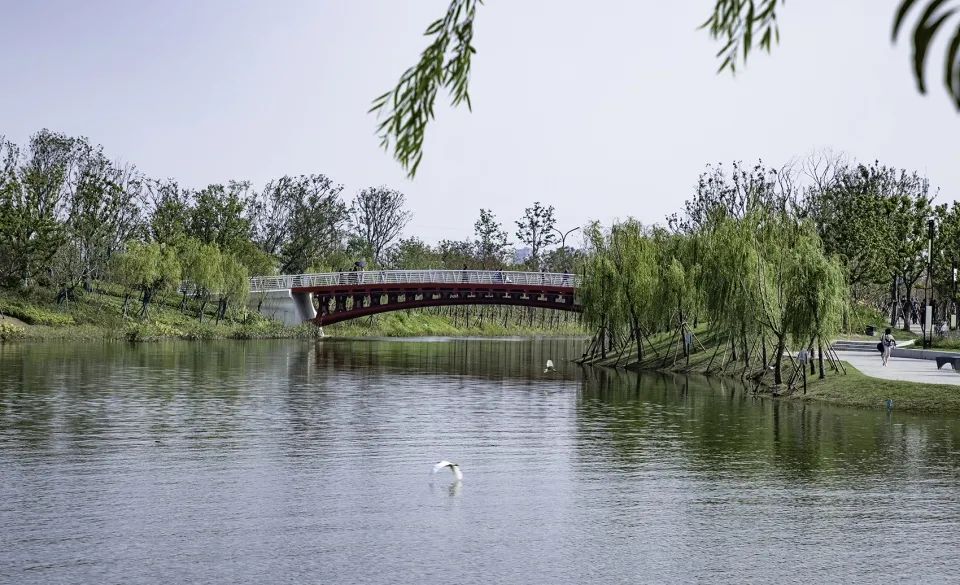 缓解城市热岛效应的措施,缓解城市热岛效应的有效建议