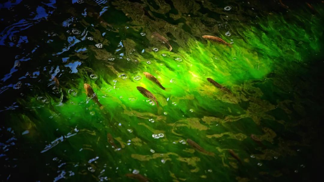 漫谈相对论合集,圆明园圆明时光