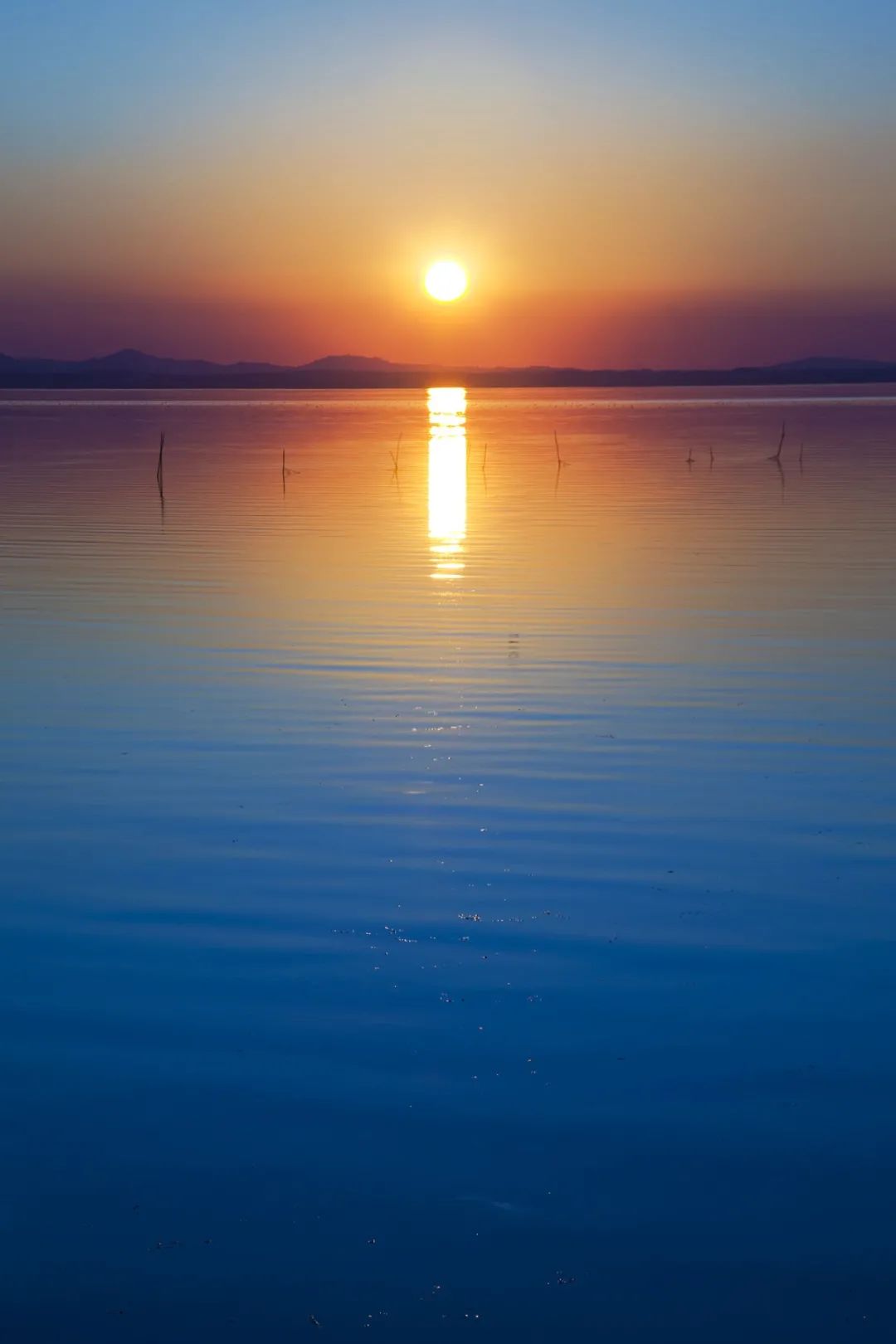 季羡林的黄昏最打动人的地方 (季羡林最经典的9句话真实又清醒)