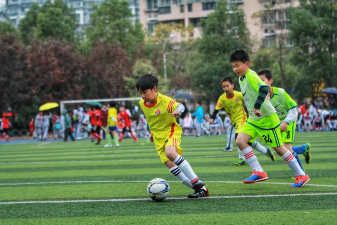 教育局点名的学校,拱墅区公办小学入学预警