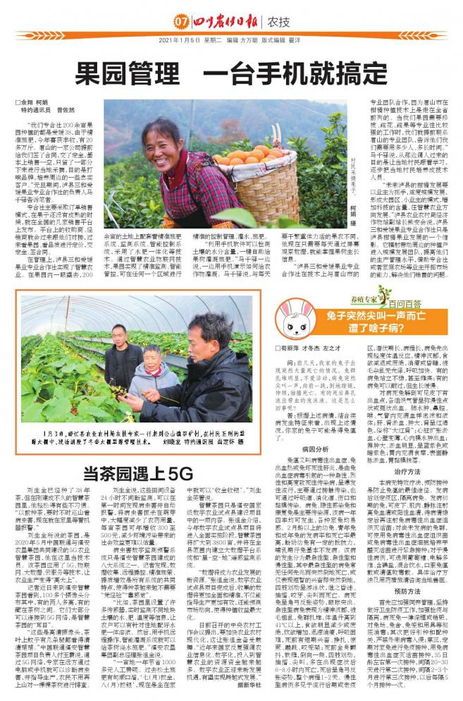 兔子睡觉突然窜出去尖叫一声,兔子一声尖叫就死了怎么回事