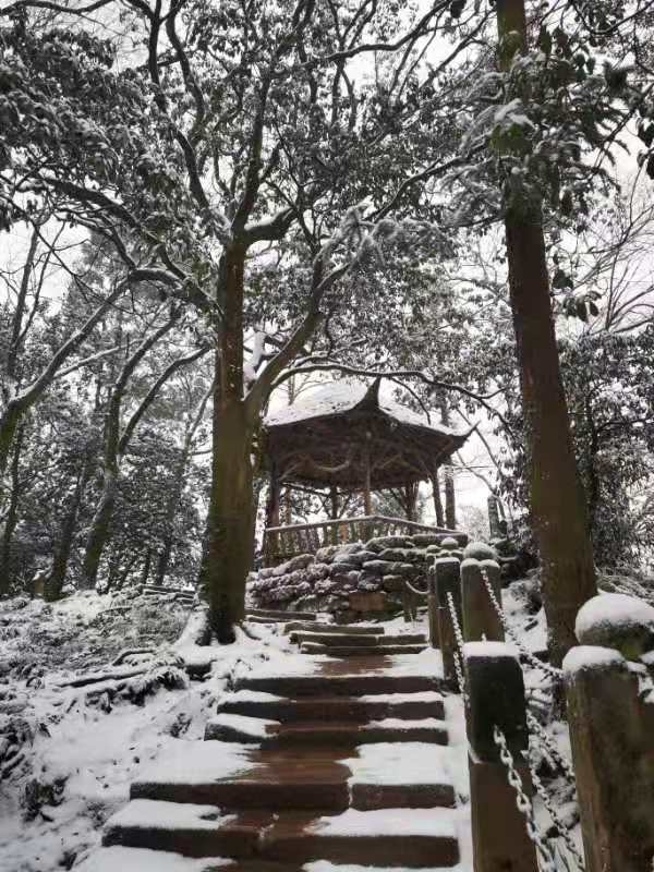 青城山什么时候去有雪,太美了难得一见的雪景