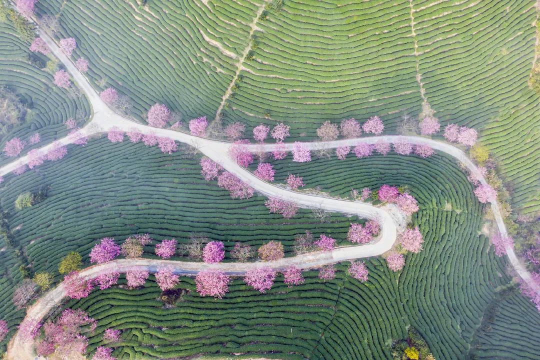 测一测你成为学霸的几率是多少,测一下你是学霸还是学渣的题